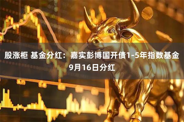 股涨柜 基金分红：嘉实彭博国开债1-5年指数基金9月16日分红