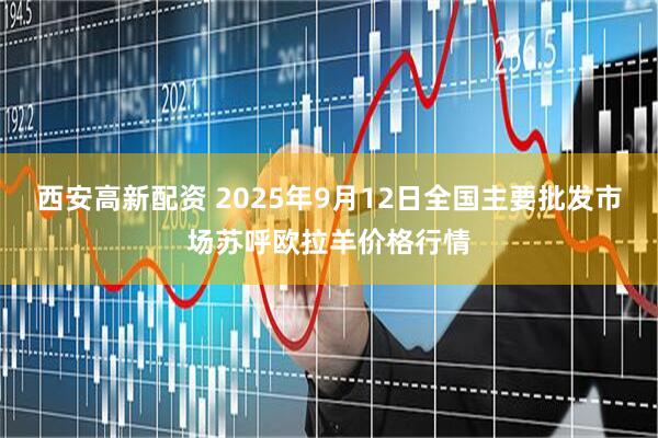 西安高新配资 2025年9月12日全国主要批发市场苏呼欧拉羊价格行情
