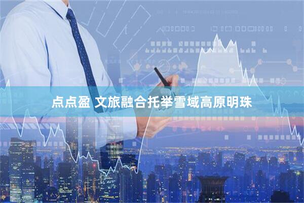 点点盈 文旅融合托举雪域高原明珠