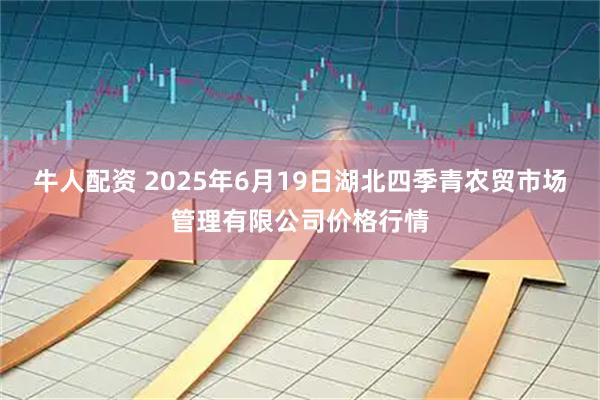 牛人配资 2025年6月19日湖北四季青农贸市场管理有限公司价格行情