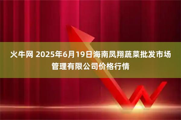 火牛网 2025年6月19日海南凤翔蔬菜批发市场管理有限公司价格行情