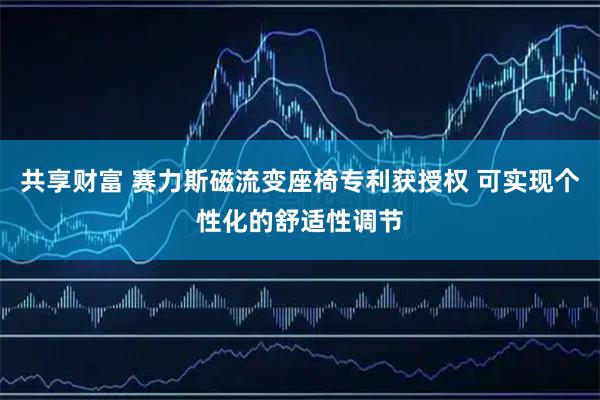 共享财富 赛力斯磁流变座椅专利获授权 可实现个性化的舒适性调节