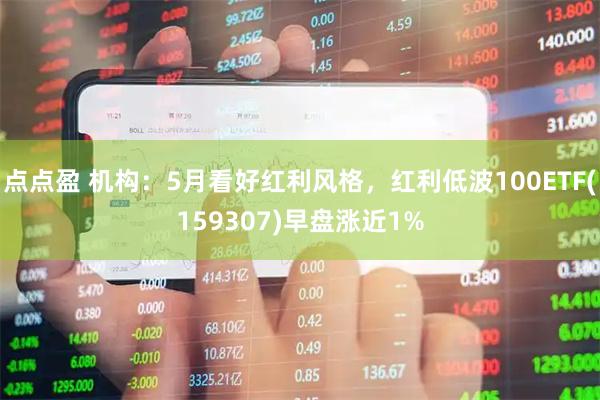 点点盈 机构：5月看好红利风格，红利低波100ETF(159307)早盘涨近1%