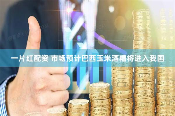 一片红配资 市场预计巴西玉米酒糟将进入我国