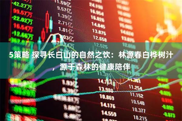 5策略 探寻长白山的自然之饮：林源春白桦树汁，源于森林的健康陪伴
