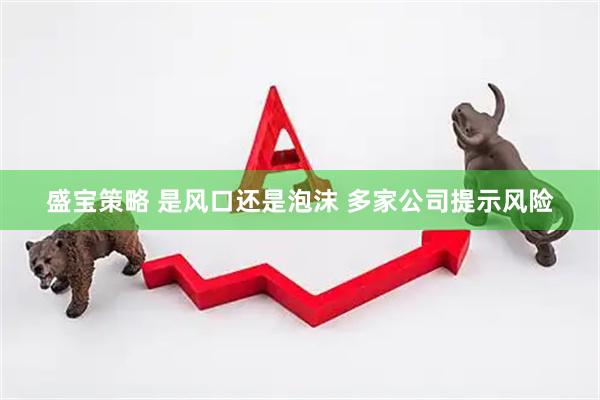 盛宝策略 是风口还是泡沫 多家公司提示风险