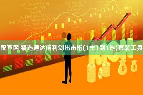 配查网 精选通达信利剑出击指(1主1副1选)套装工具