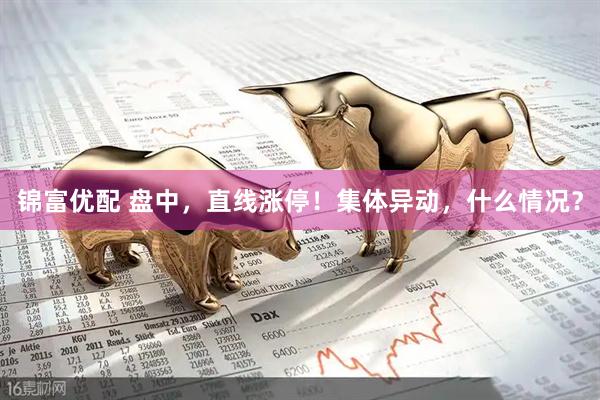 锦富优配 盘中，直线涨停！集体异动，什么情况？