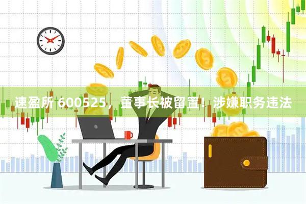 速盈所 600525，董事长被留置！涉嫌职务违法