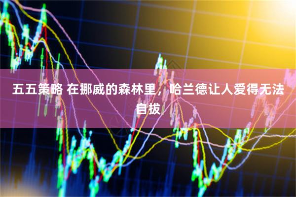 五五策略 在挪威的森林里，哈兰德让人爱得无法自拔